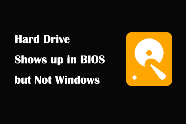 hard drive shows up in bios but not windows thumbnail