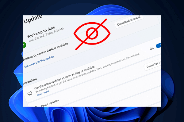 cant see windows 11 24h2 in release preview channel thumbnail
