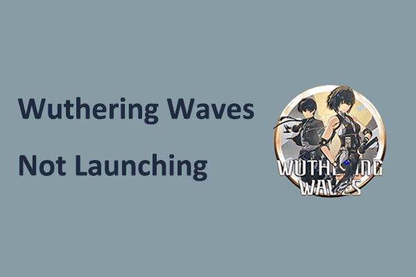 wuthering waves not launching thumbnail
