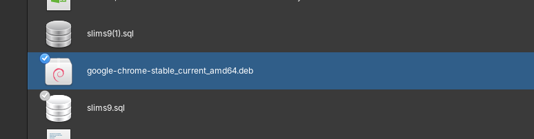 Downgrade Google Chrome di Linux: Kembalikan Ekstensi Favorit! 3 Contoh tampilan file .deb Google Chrome